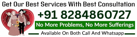 best indian astrologer